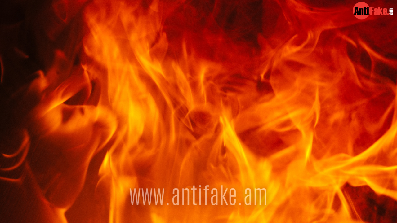 article-image
